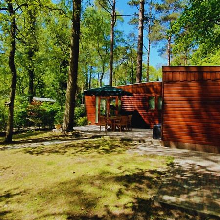 Wooden Nature Chalet - Dennenrhode Doornspijk Villa Esterno foto