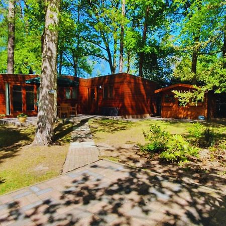 Wooden Nature Chalet - Dennenrhode Doornspijk Villa Esterno foto