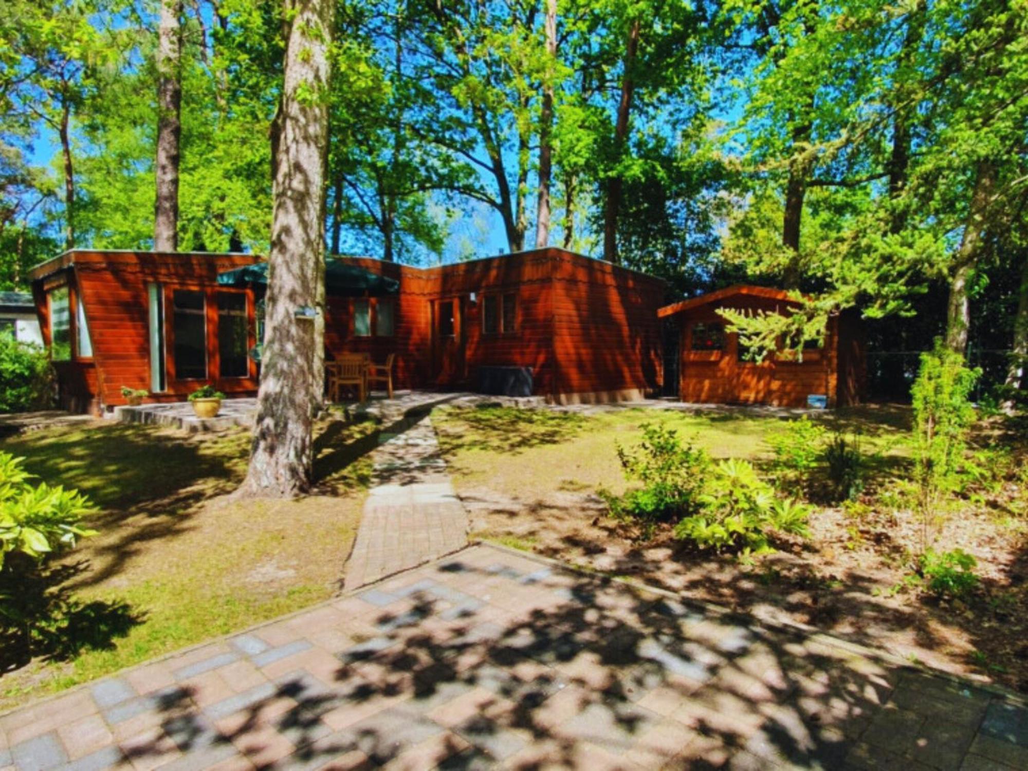 Wooden Nature Chalet - Dennenrhode Doornspijk Villa Esterno foto